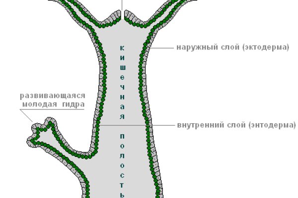 Ссылка на кракен kr2link co